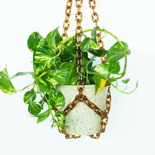 Plant Chain Hanger