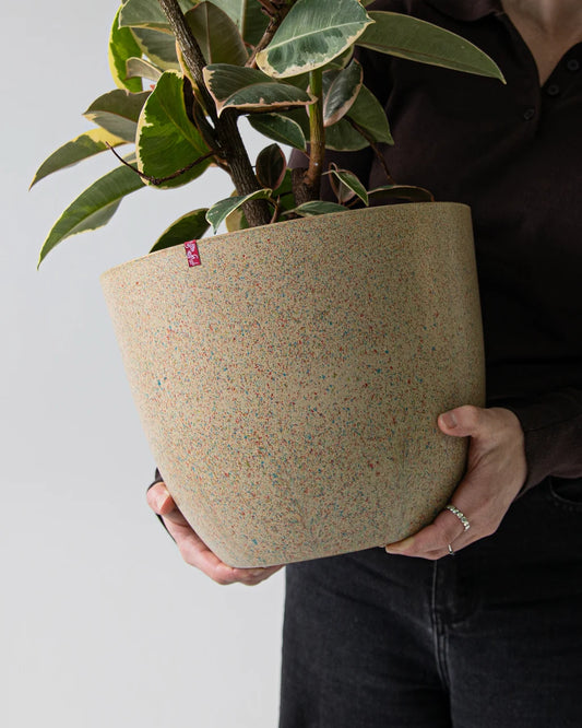 Sundae Series Pot - Jumbo