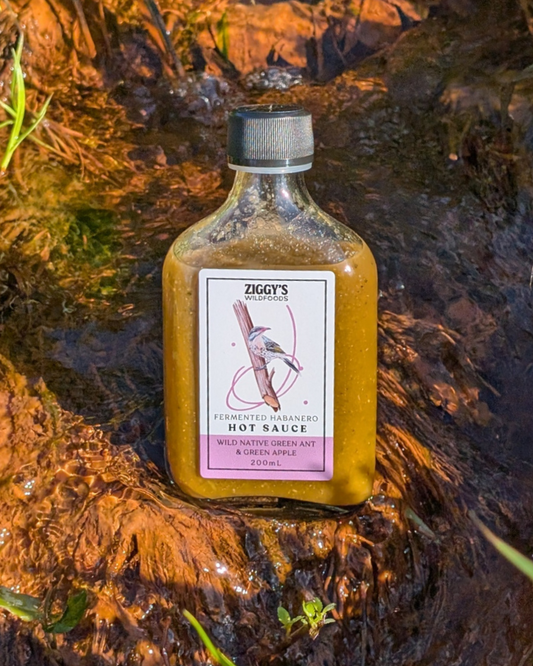 Native Green Ant, Apple & Wild Fennel Hot Sauce