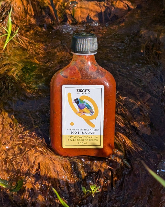 Davidson Plum & Wild Pepper Fermented Hot Sauce
