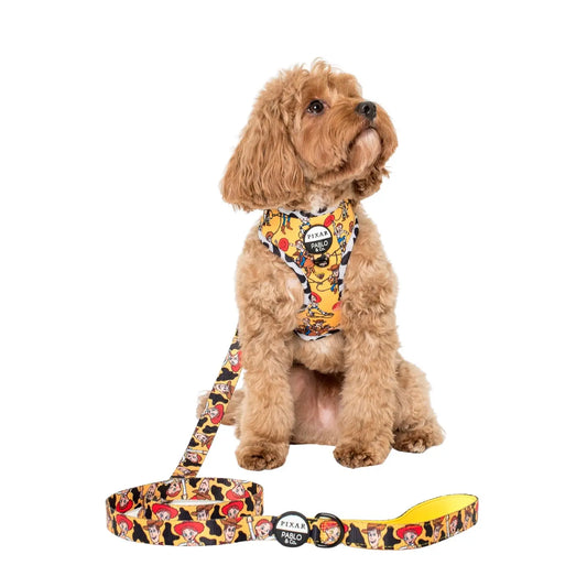 Toy Story- Woody's Roundup: Dog Leash