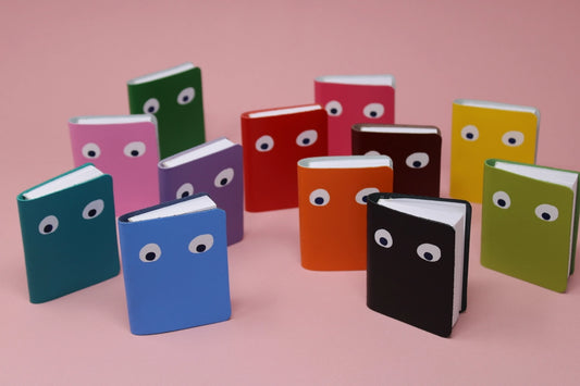 Googly Eye Mini Notebook