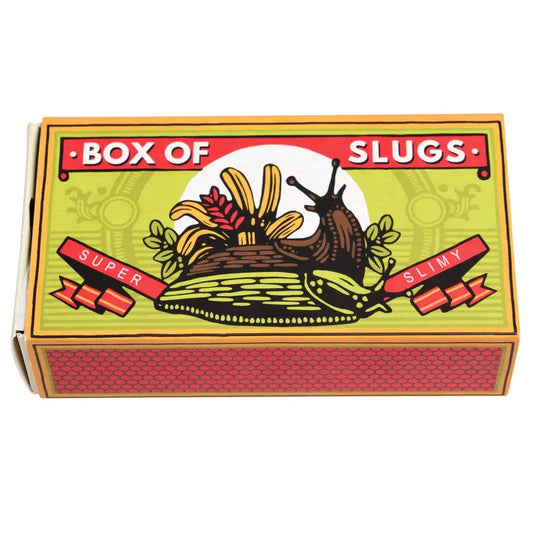 Rex London Creepy Crawlies – Box of Two Slimy Slugs