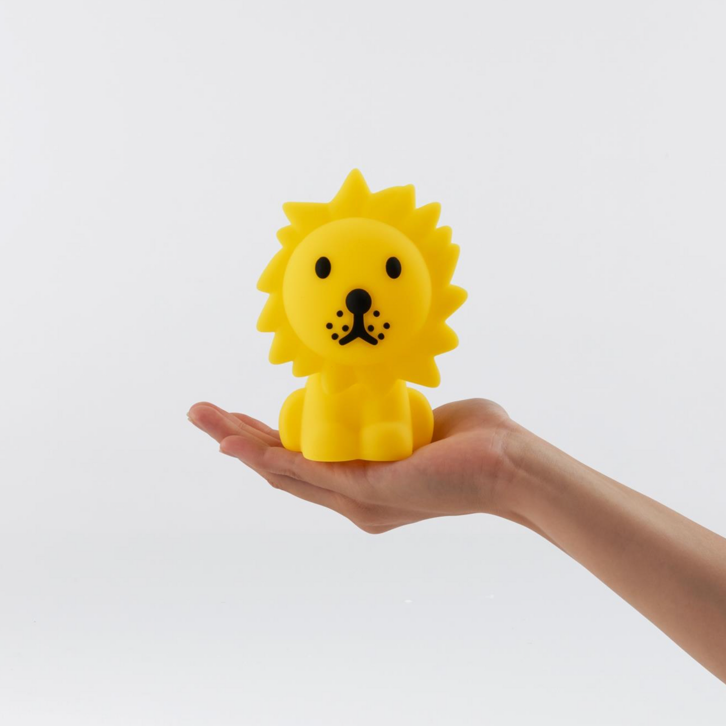 Lion Bundle Of Light