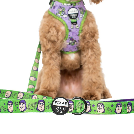 Toy Story- Buzz Lightyear: Dog Leash
