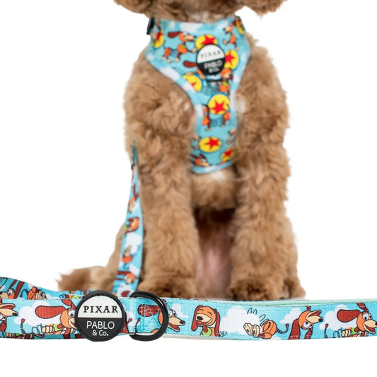 Toy Story- Slinky Dog: Dog Leash