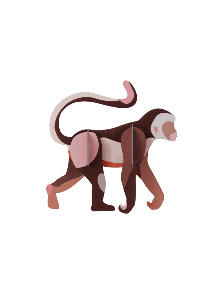 Monkey (B7)