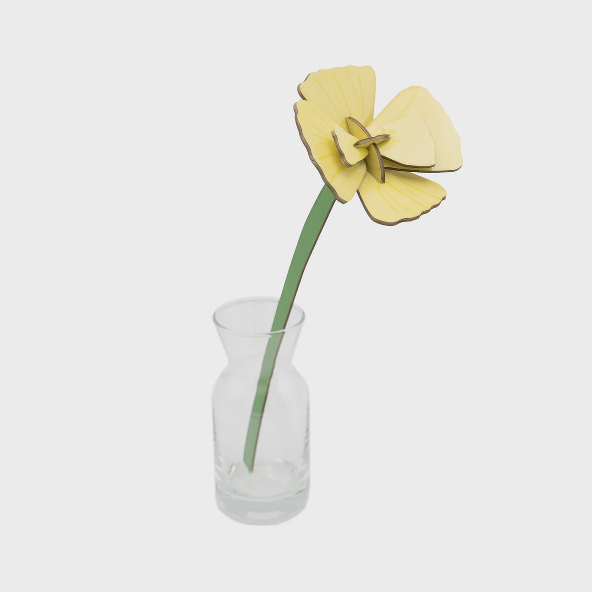 Everlasting Flowers - Golden Poppy