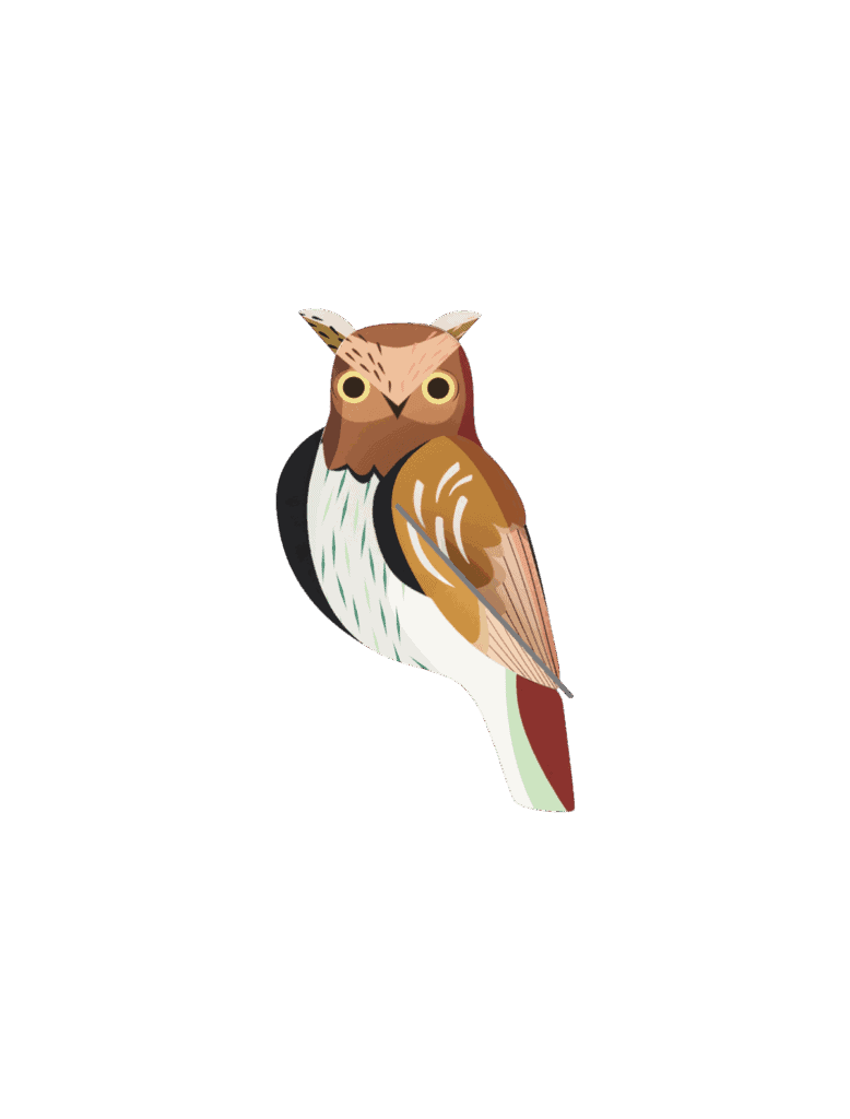 Tawny Owl (B6)