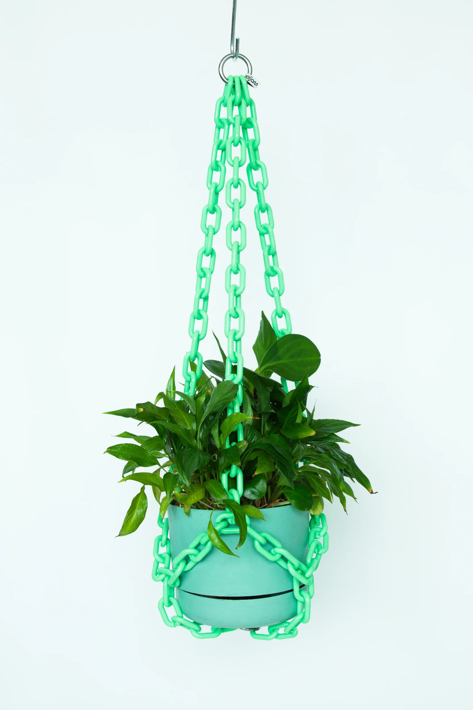 chain plant hanger Plant Chain Hanger – Herbert's Corner Store