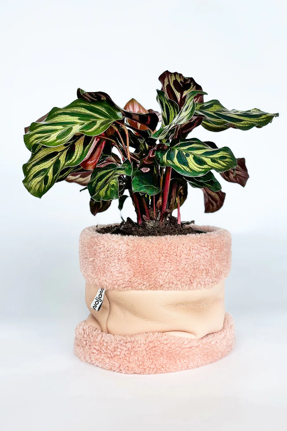 Pillow Pot