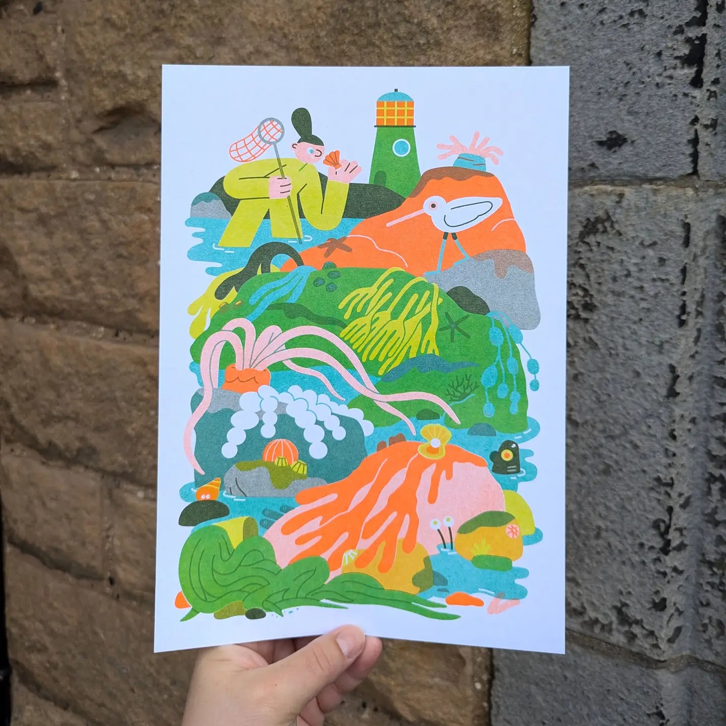 Rockpool A4 Risograph Print