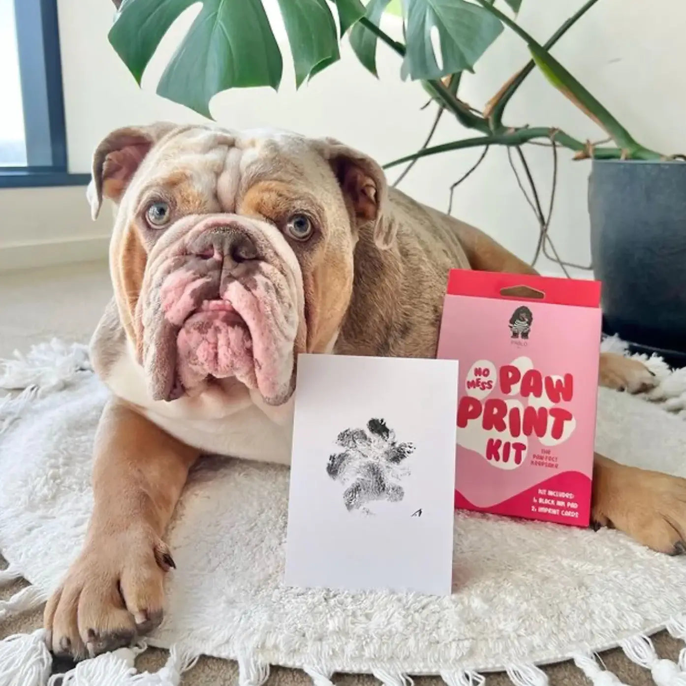 Pablo & Co. No Mess Dog Paw Print Kit with example