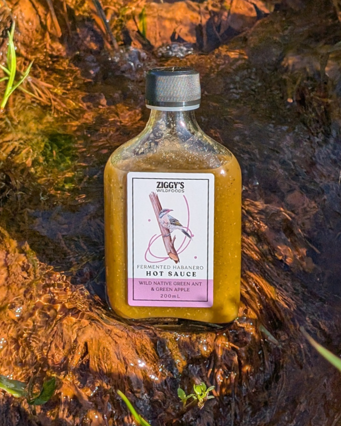 Native Green Ant, Apple & Wild Fennel Hot Sauce