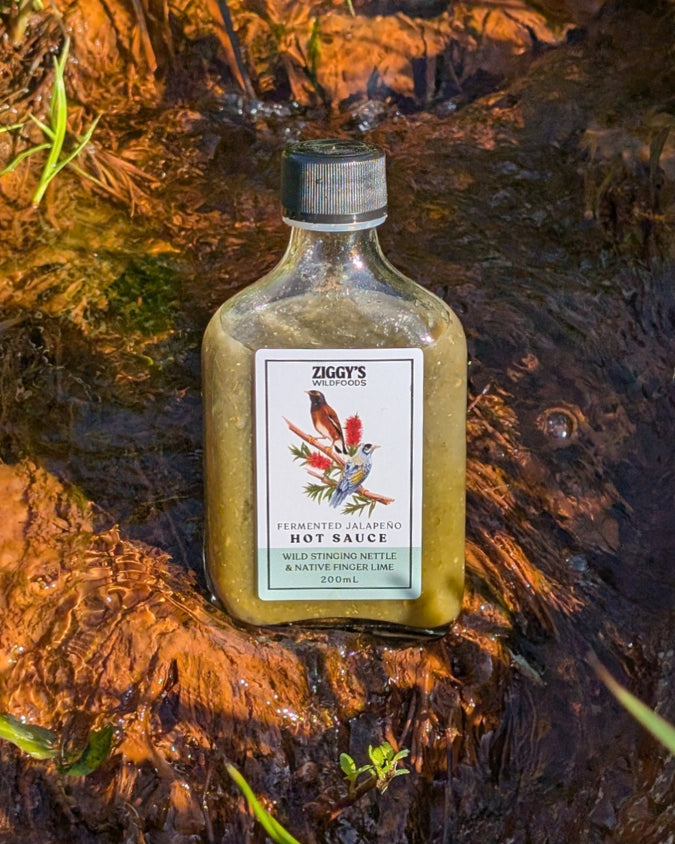 Wild Stinging Nettle & Fingerlime fermented Hot Sauce