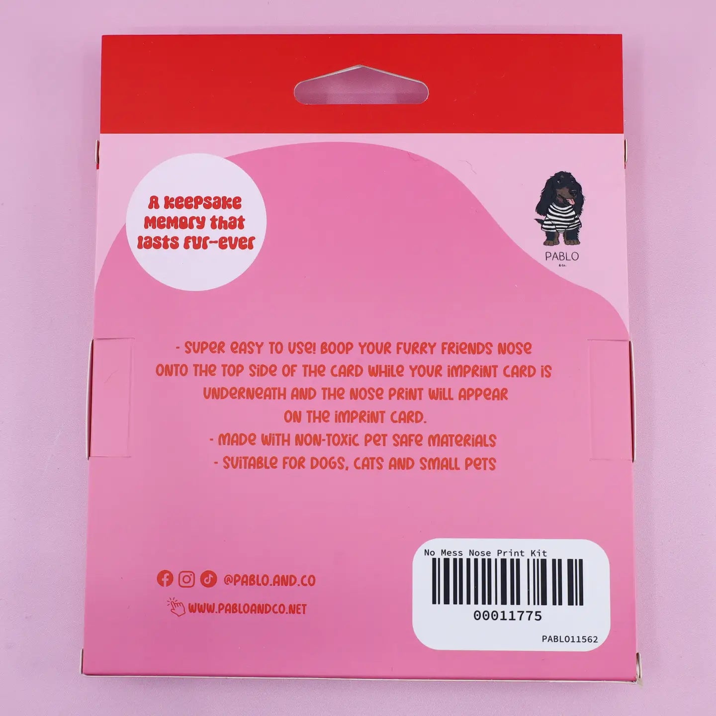 No Mess Nose Print Kit