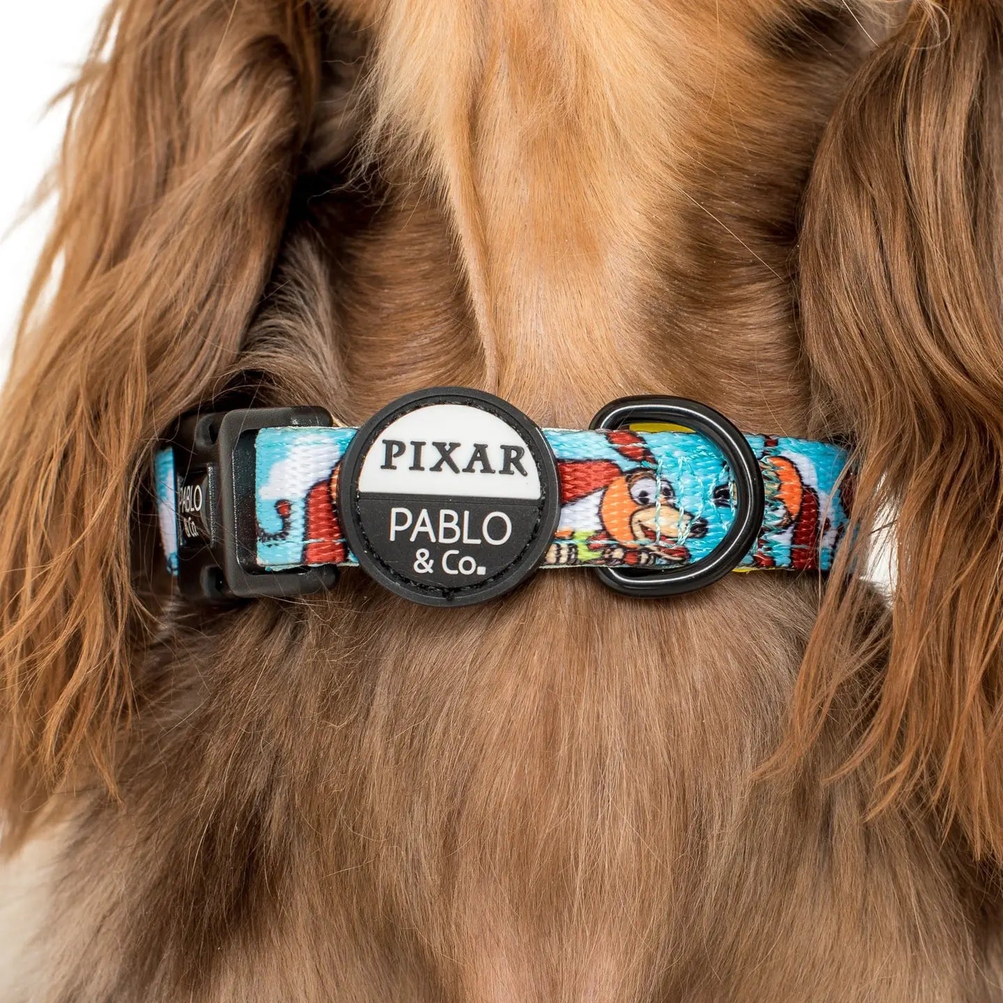 Toy Story- Slinky Dog: Dog Collar