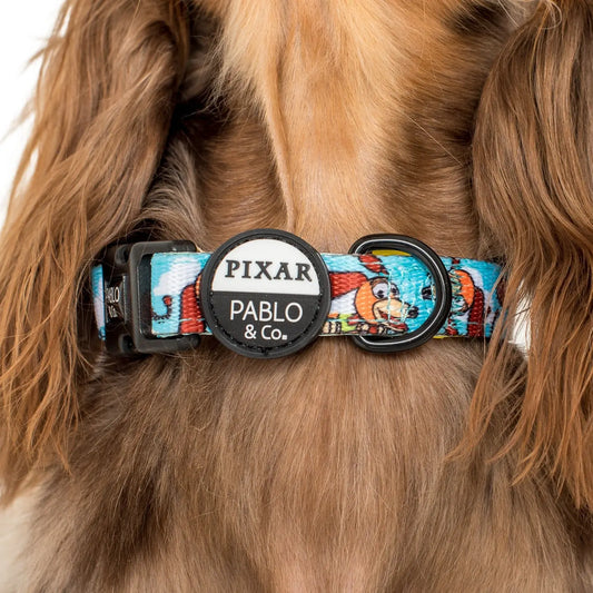 Toy Story- Slinky Dog: Dog Collar