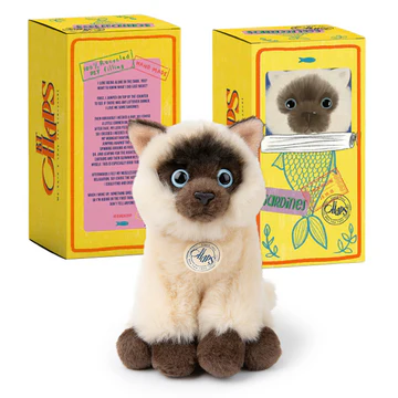 Eddie the Siamese in giftbox 17cm