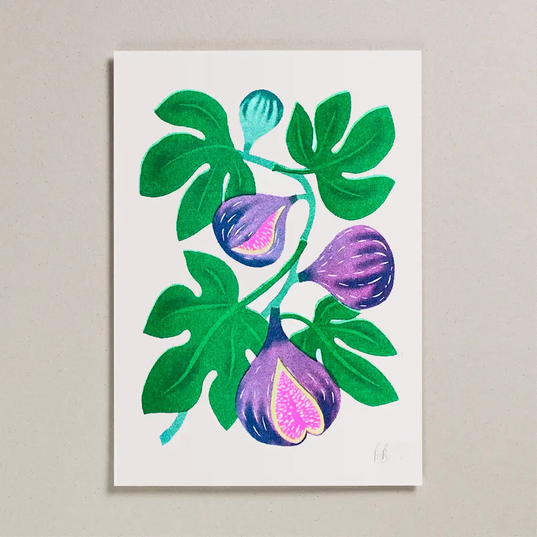 Risograph A4 Print Fig