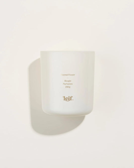Flannel Flower Candle 280g