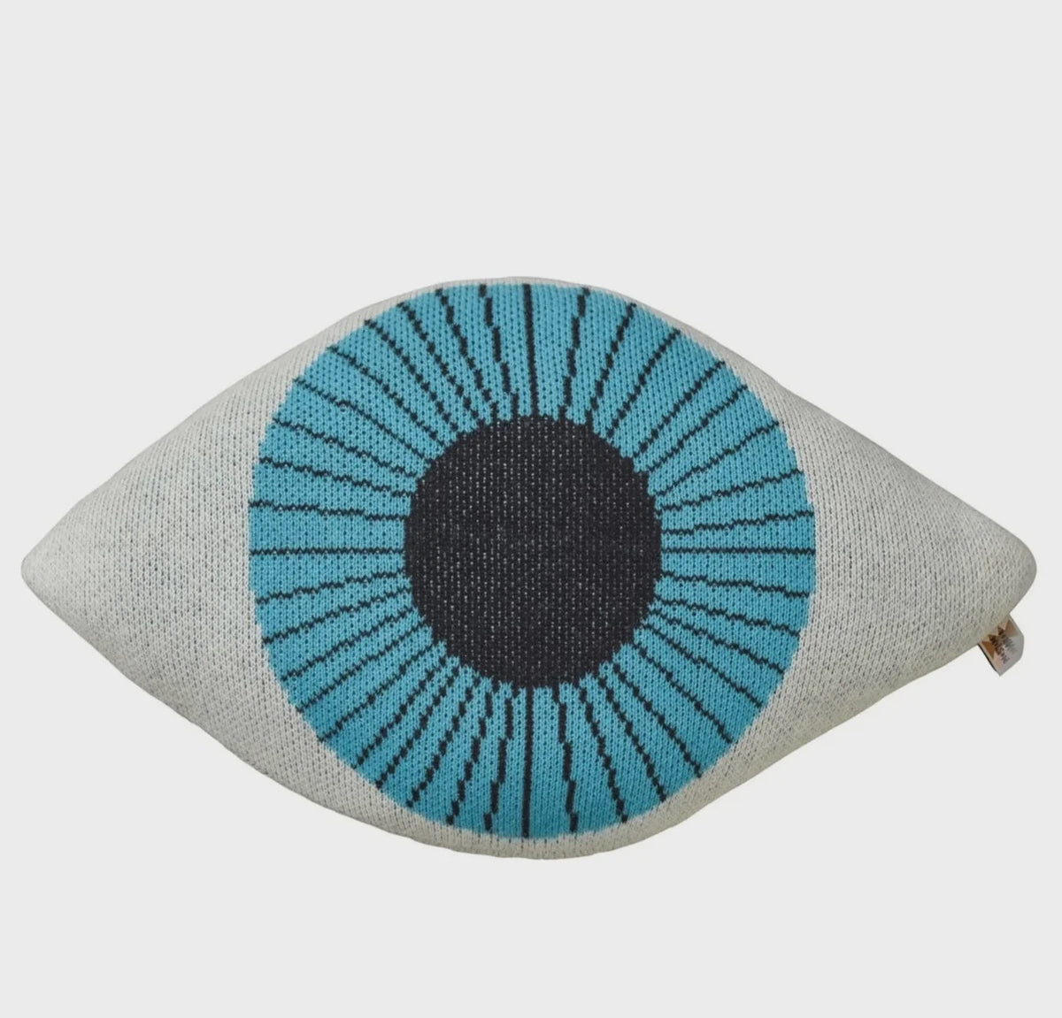 Blue Eye Cushion
