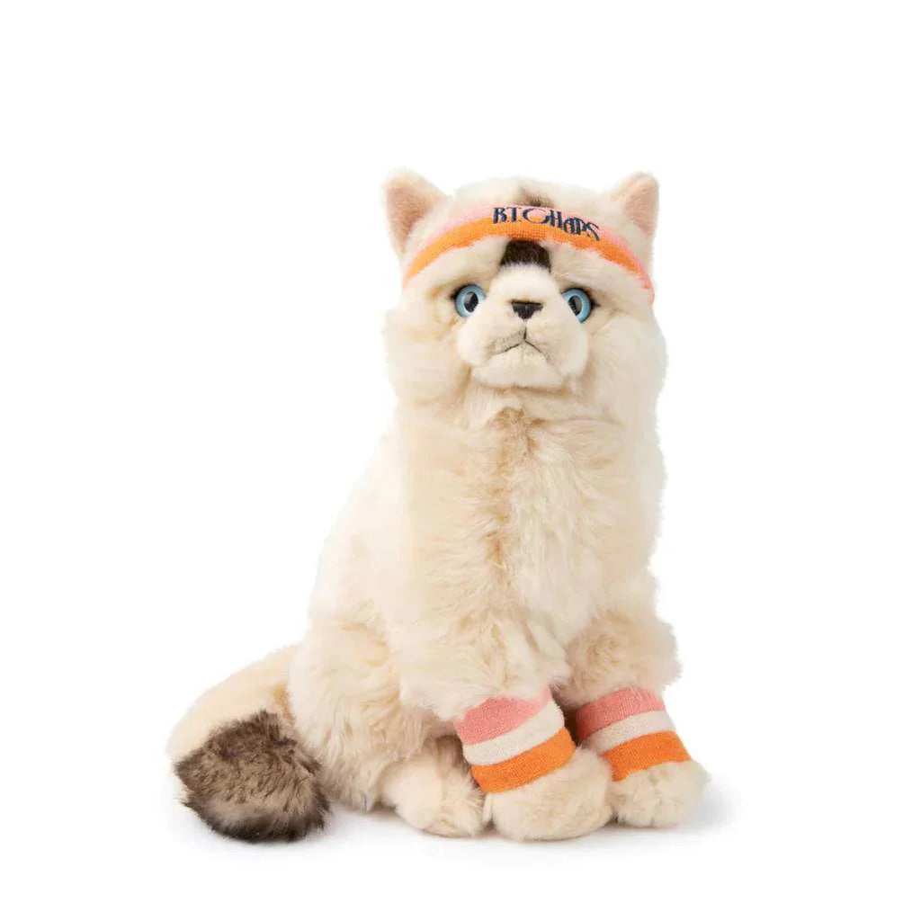 Dolly The Ragdoll 32cm