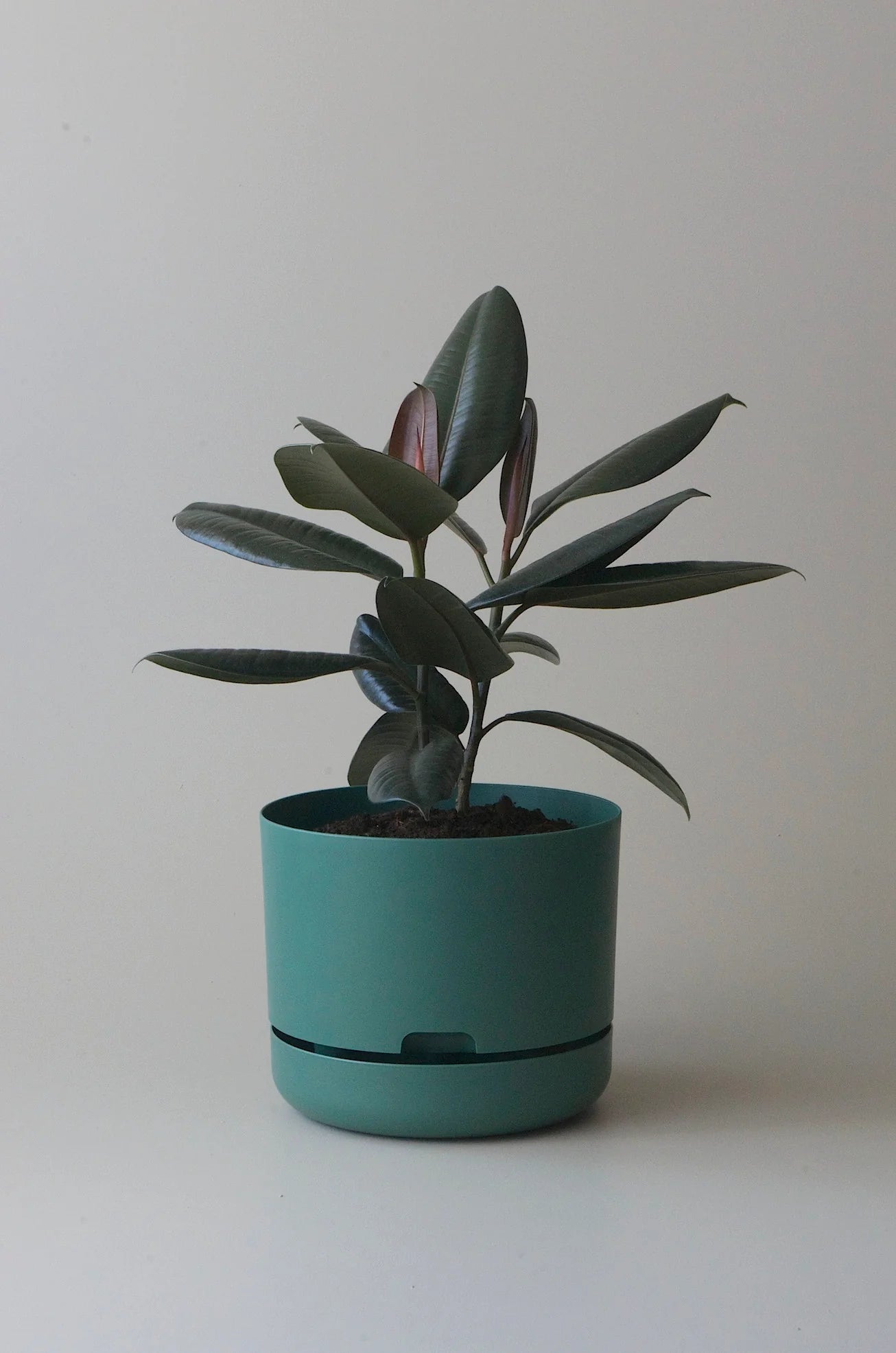 Selfwatering Plant Pot 250mm