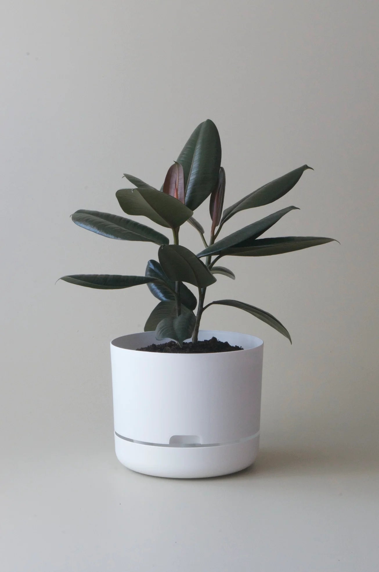 Selfwatering Plant Pot 250mm