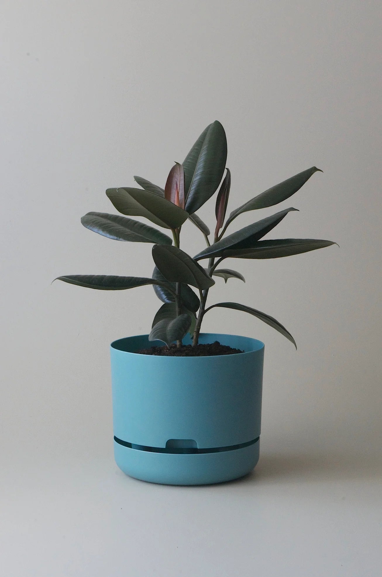 Selfwatering Plant Pot 250mm