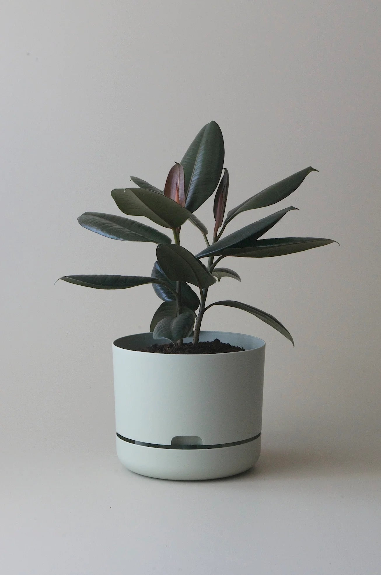 Selfwatering Plant Pot 250mm