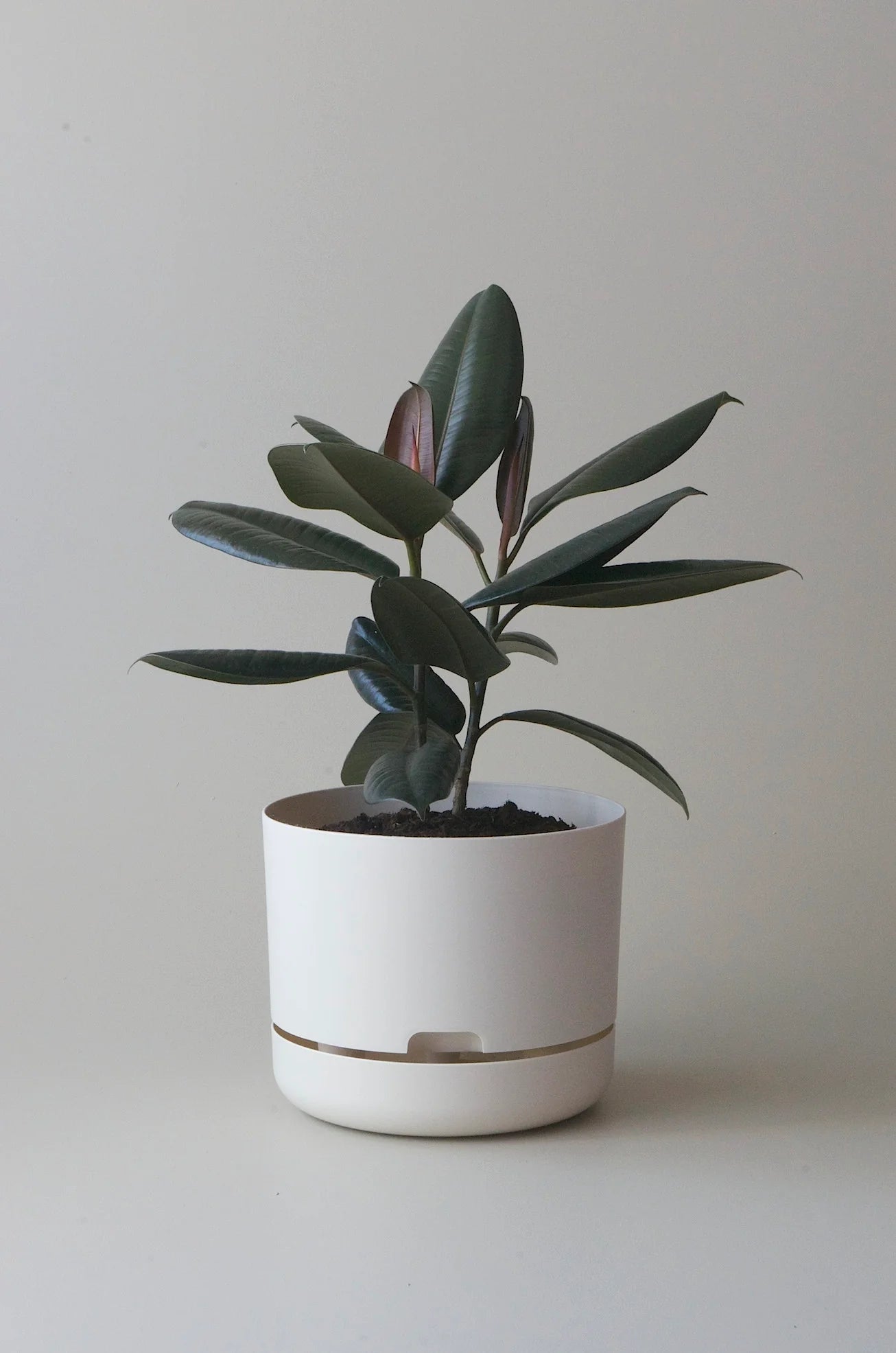 Selfwatering Plant Pot 250mm