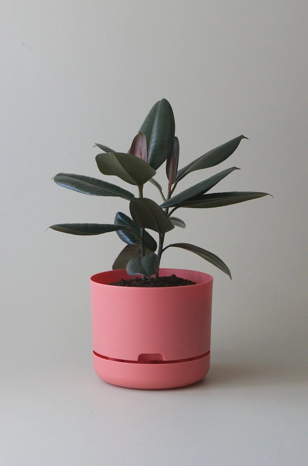 Selfwatering Plant Pot 250mm