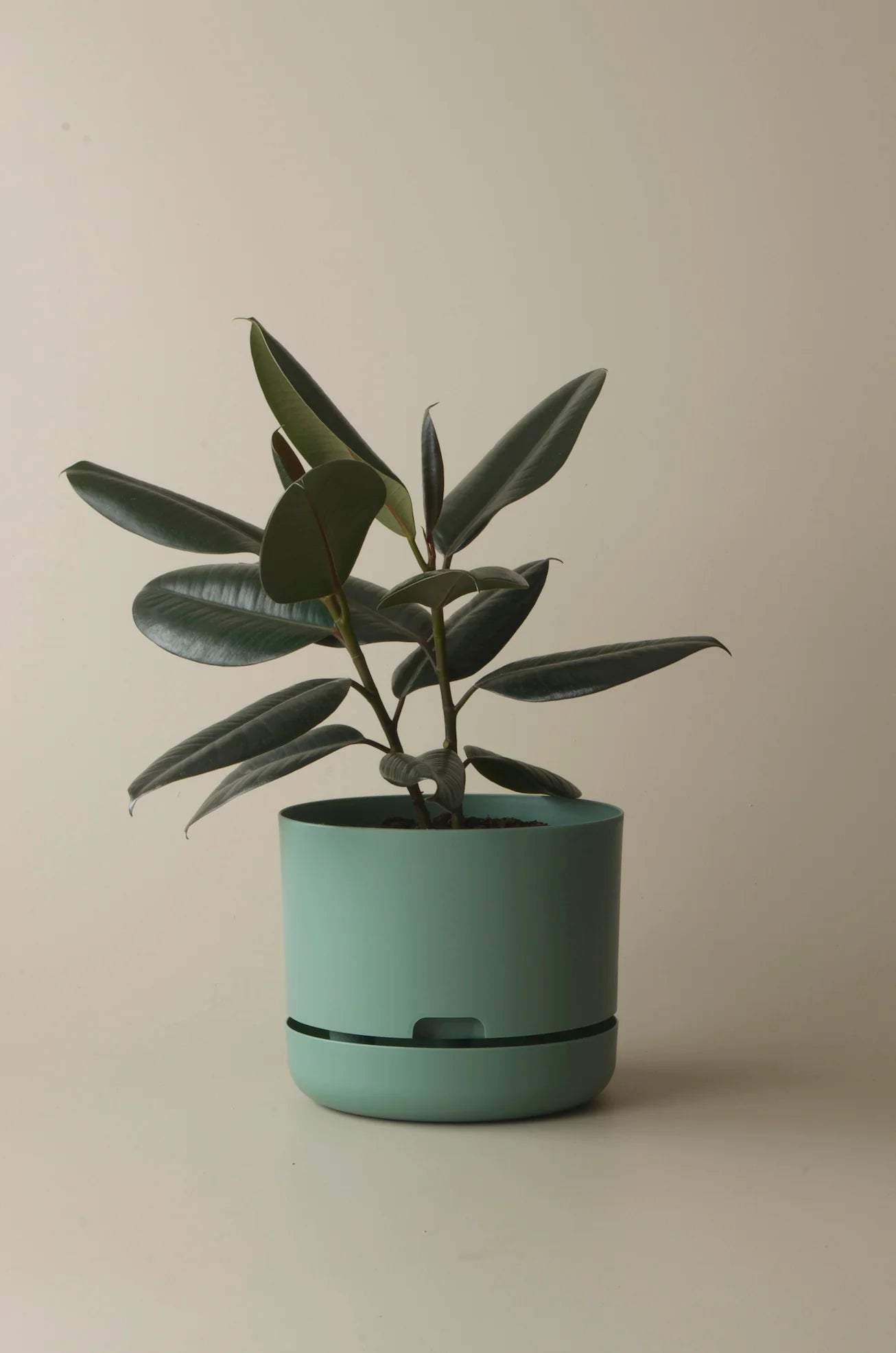 Selfwatering Plant Pot 250mm