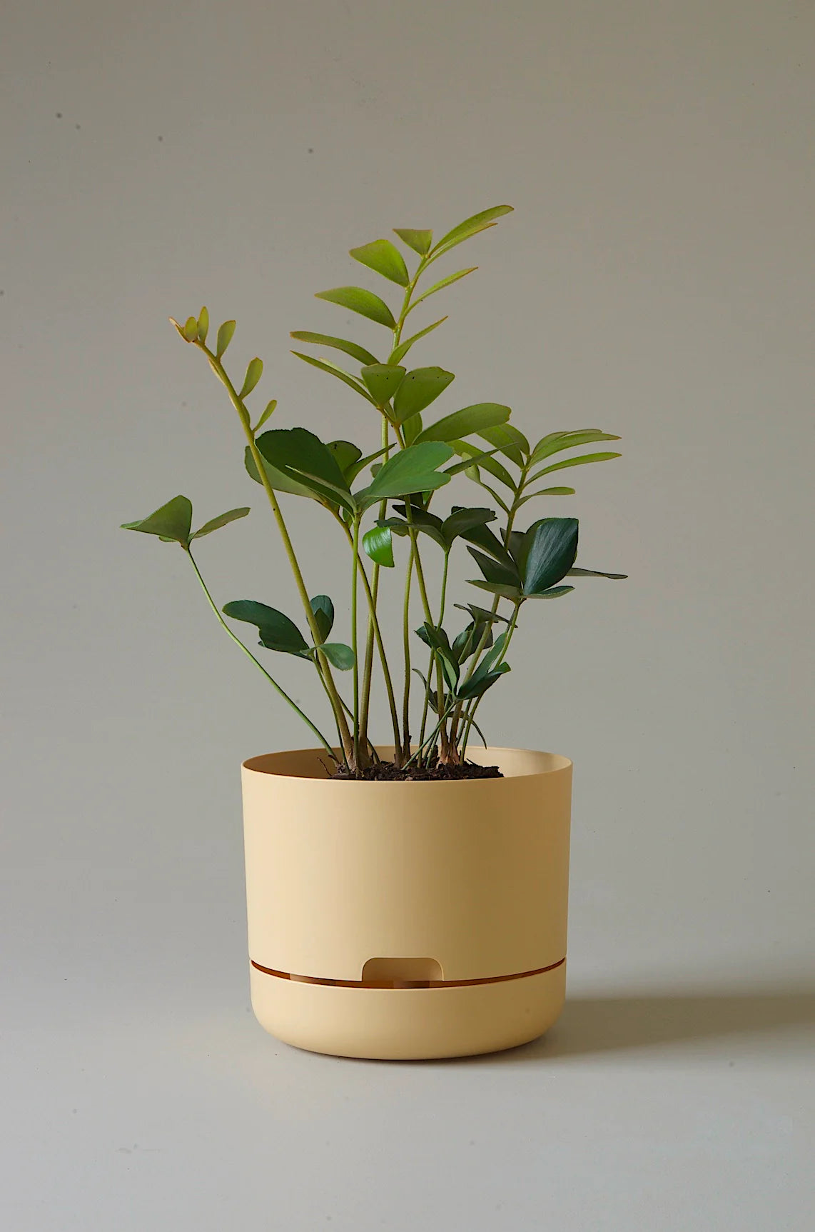 Selfwatering Plant Pot 215mm