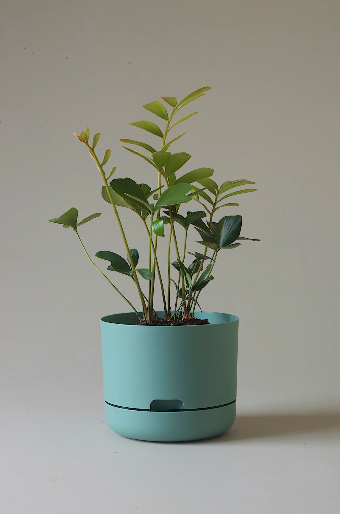 Selfwatering Plant Pot 215mm