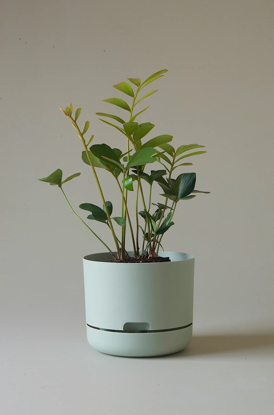 Selfwatering Plant Pot 215mm