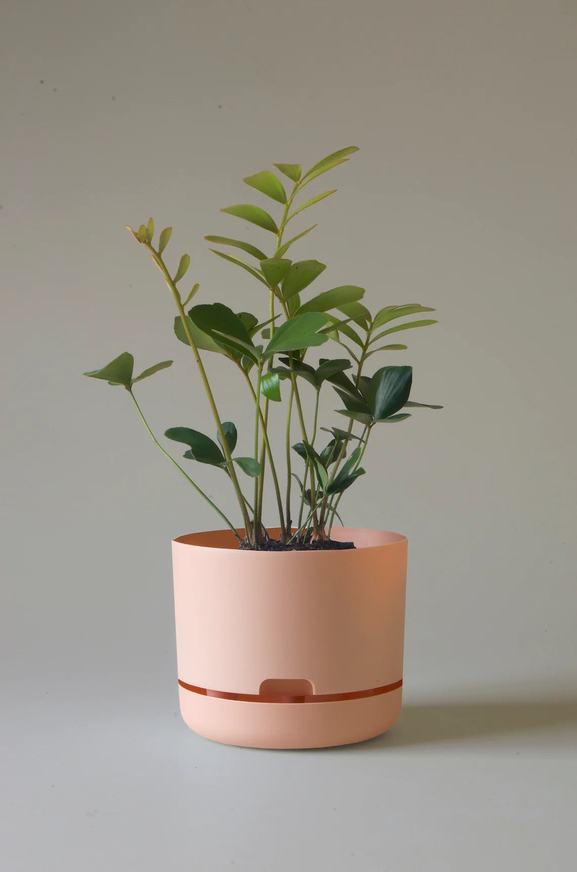 Selfwatering Plant Pot 215mm