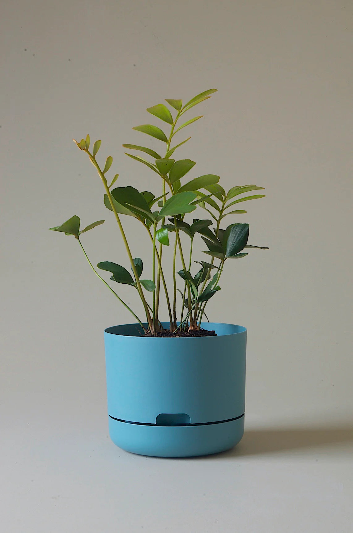 Selfwatering Plant Pot 215mm