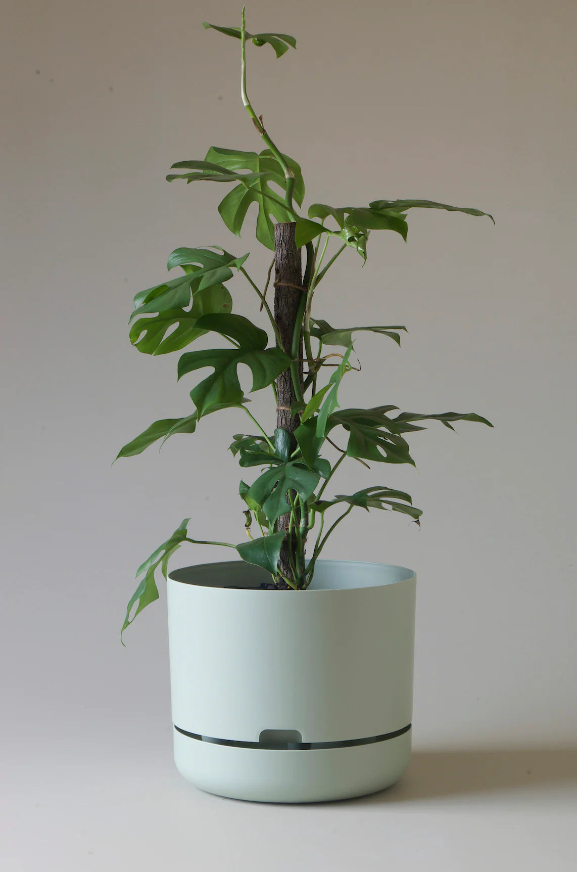 Selfwatering Plant Pot 300mm