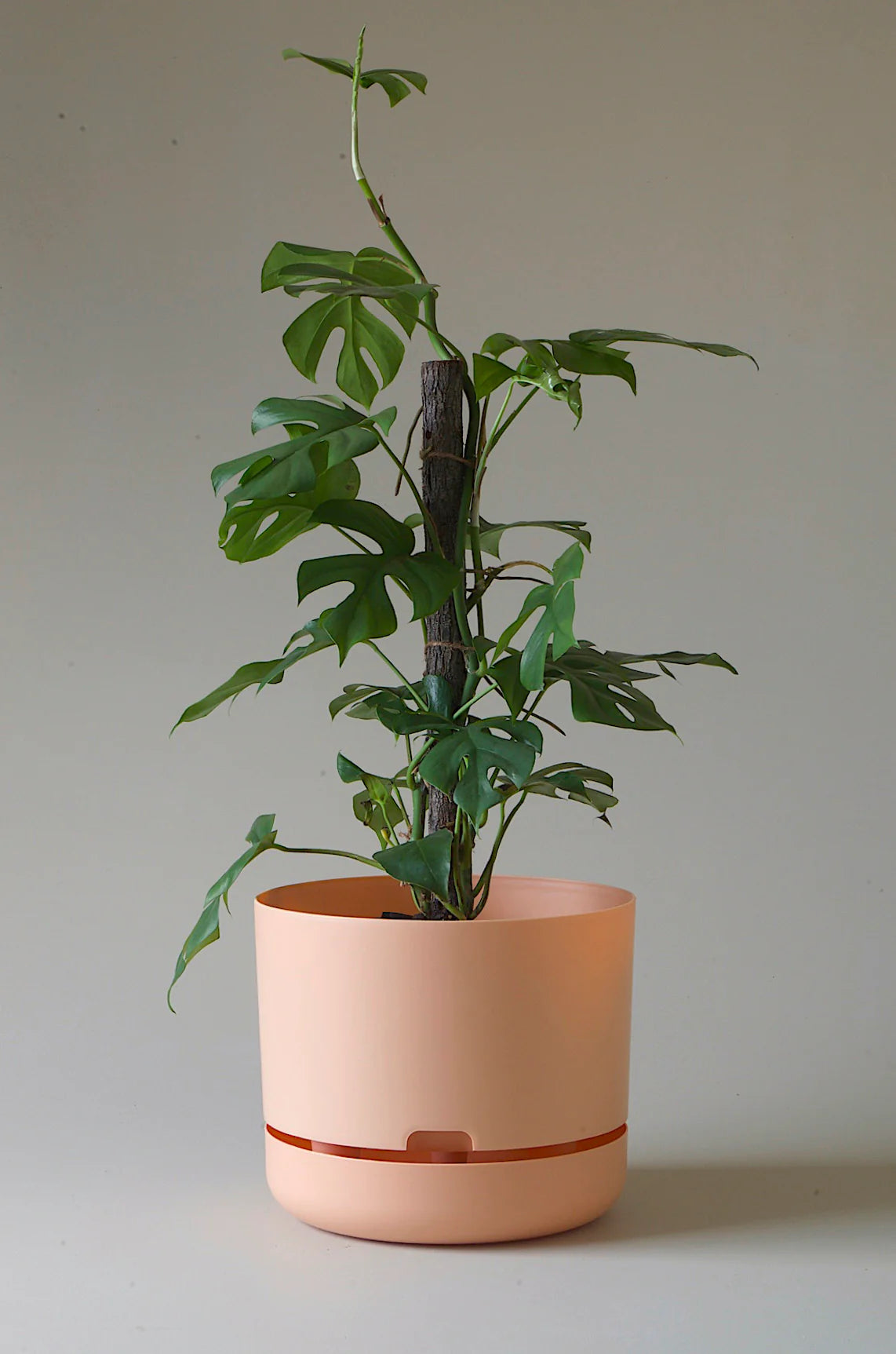 Selfwatering Plant Pot 300mm