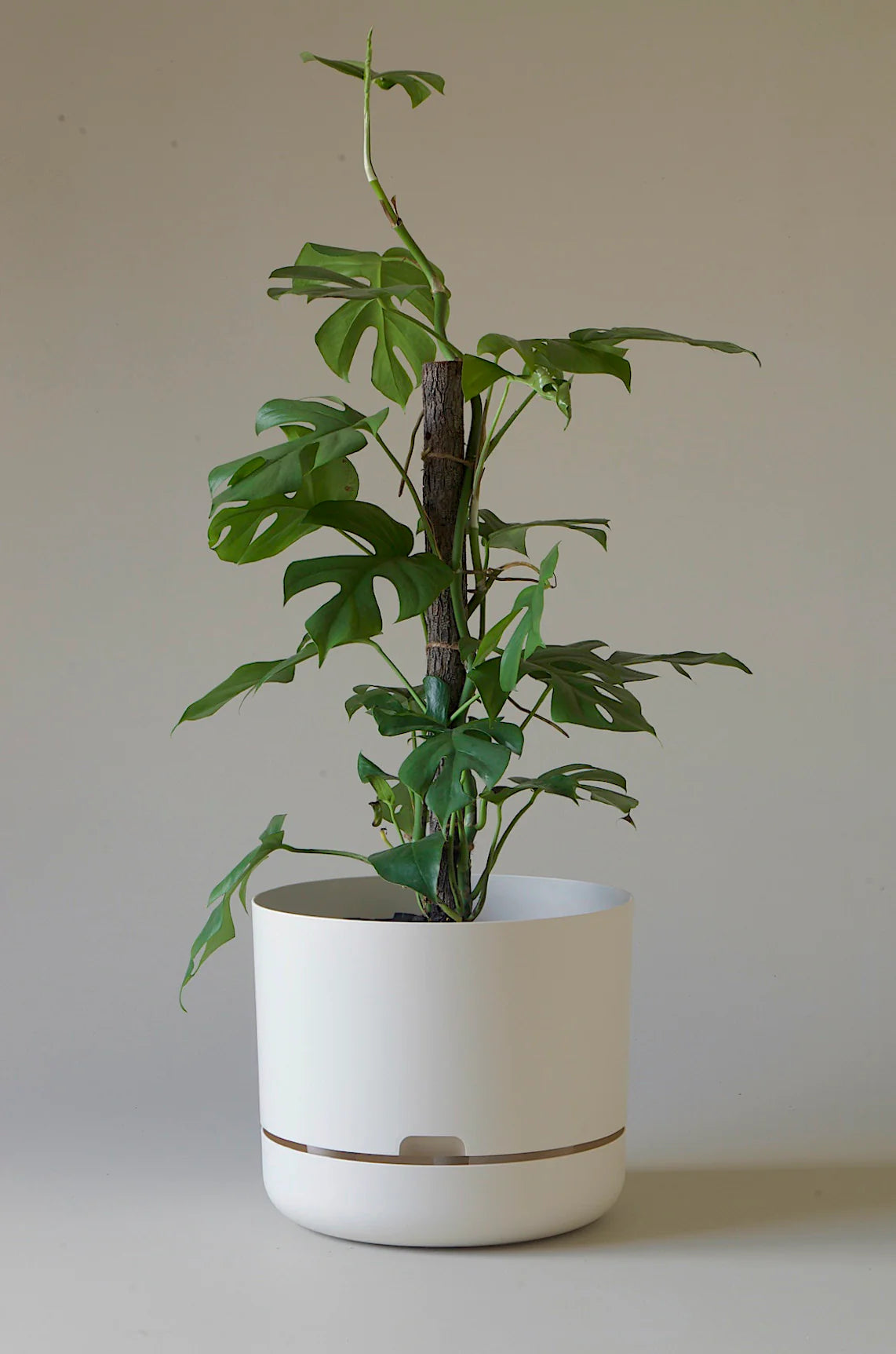 Selfwatering Plant Pot 300mm