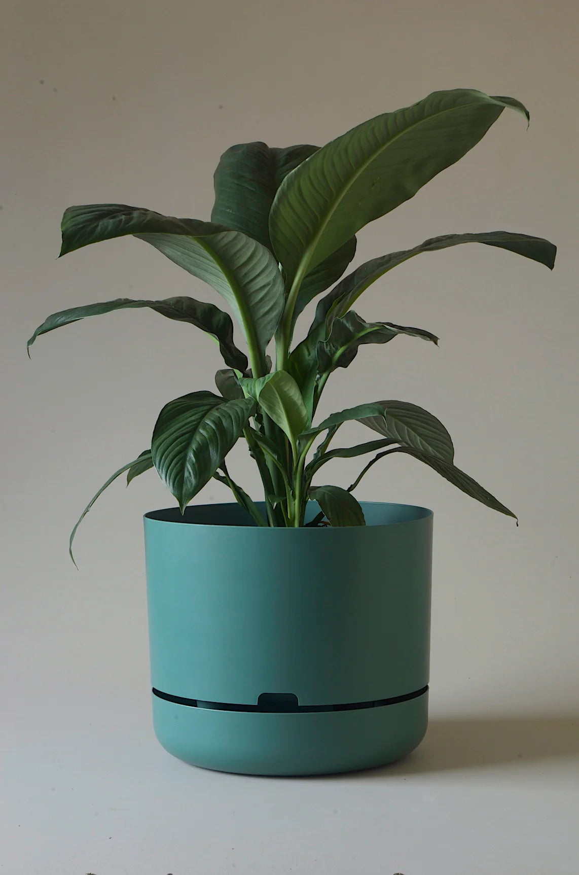 Selfwatering Plant Pot 375mm