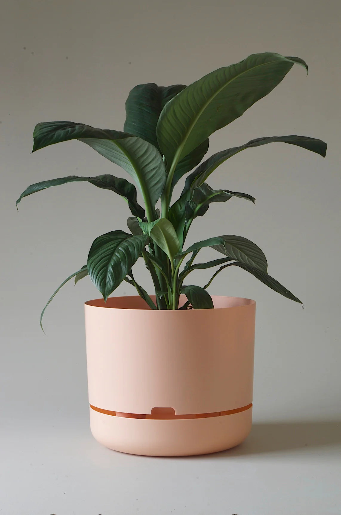 Selfwatering Plant Pot 375mm