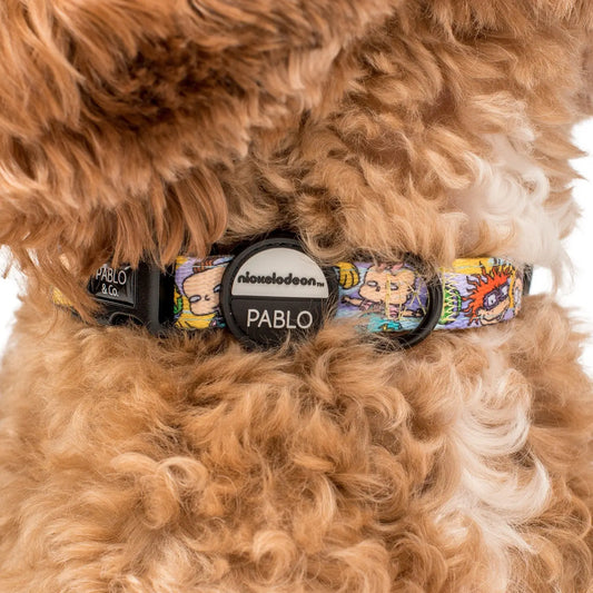 Pablo & Co. Rugrats Dog Collar on Dog