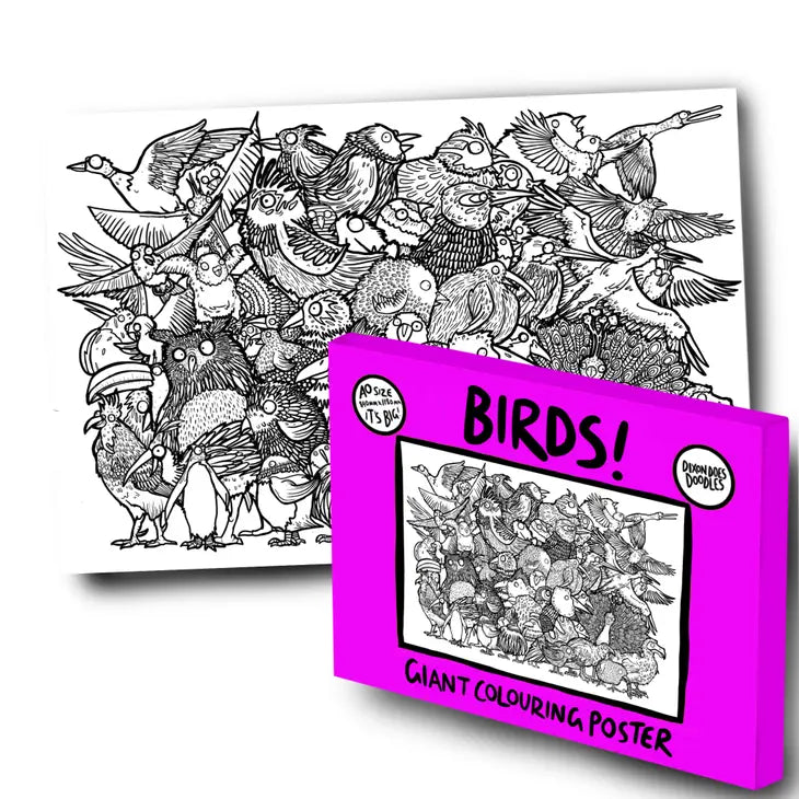 Birds! Giant Colouring Poster