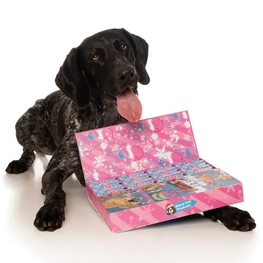 Dog Christmas Advent Calendar 2023