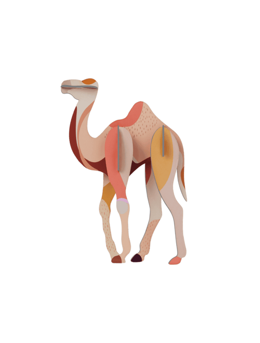 Camel (B7)