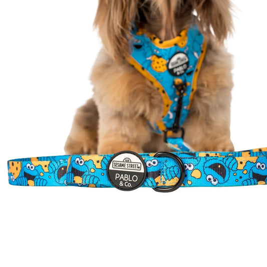 Pablo & Co. Cookie Monster Dog Leash with dog