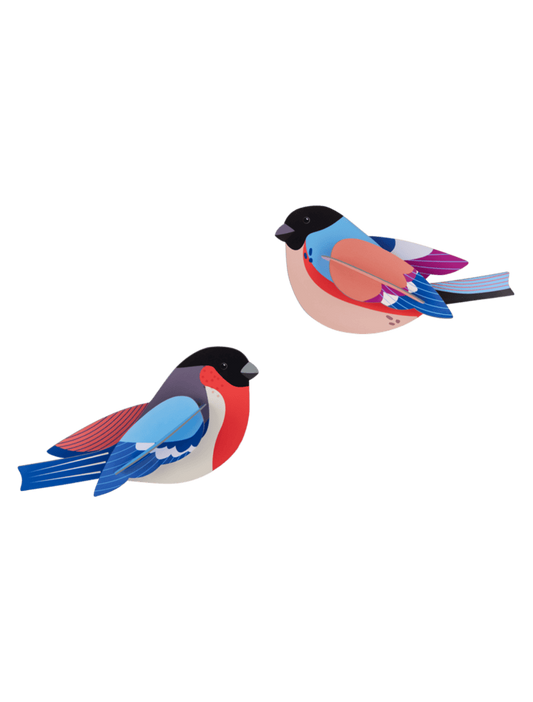 Finches (B6)